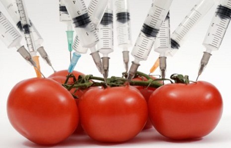 Azerbaijan strengthens control over genetically modified plants